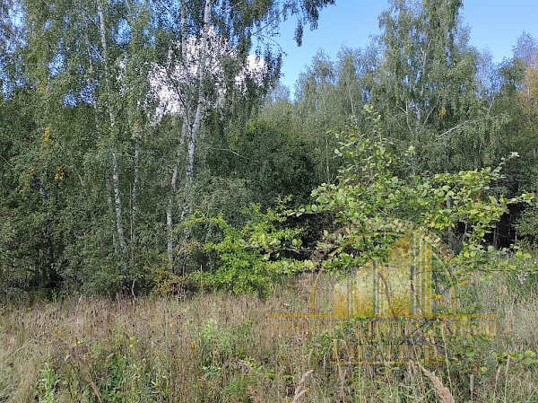 Участок , 6 сот.