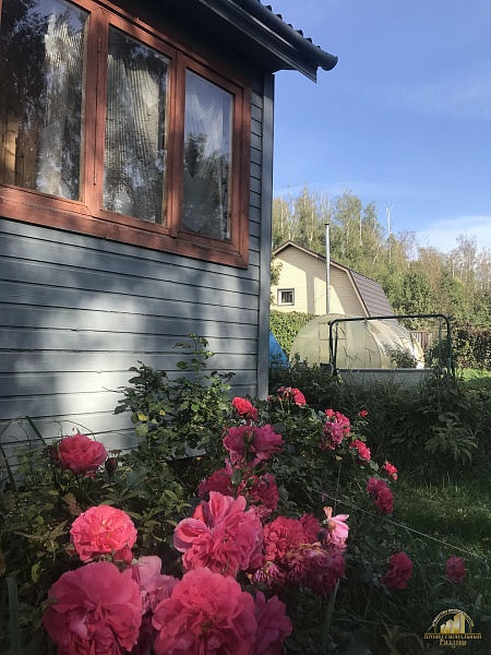 Участок , 6 сот.