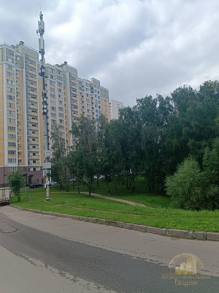 1-к квартира, 26 кв.м., мкр. Купелинка ул Северный квартал, д.17