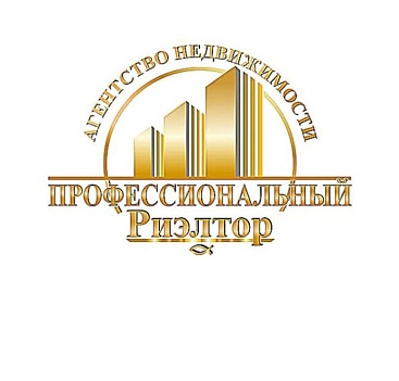 Профессиональный риэлтор